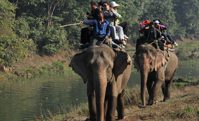 Chitwan Jungle Safari