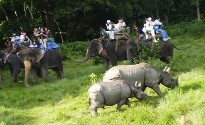 Chitwan Jungle Safari 01 Nights 02 Days